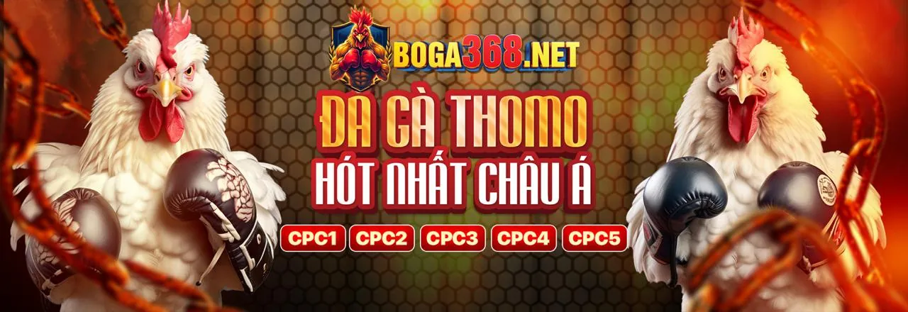 Blog okfun nhà cái - Tin Tức & Cẩm Nang Cá Cược Mới Nhất