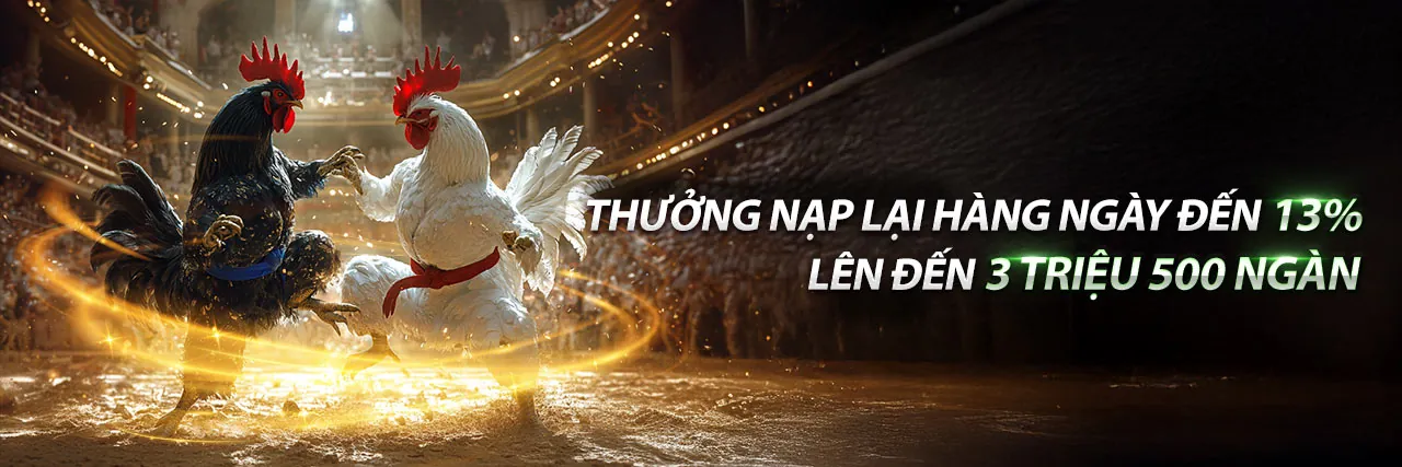 Hình ảnh tổng quan về các chương trình khuyến mãi đa dạng và hấp dẫn của okfun nhà cái